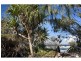 17 Petrel Street, Peregian Beach QLD 4573