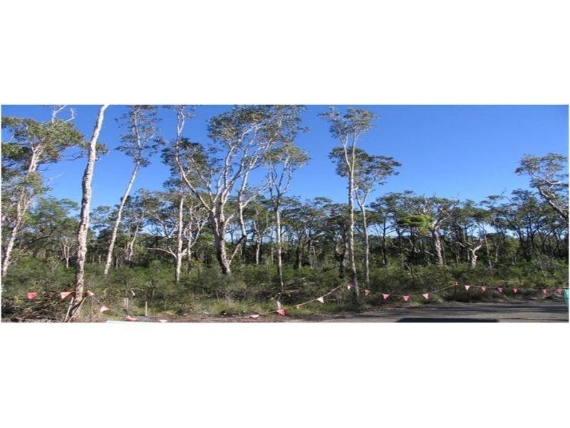 Lot 25 Brushbox Way ‘The Ridges’, Peregian Springs QLD 4573