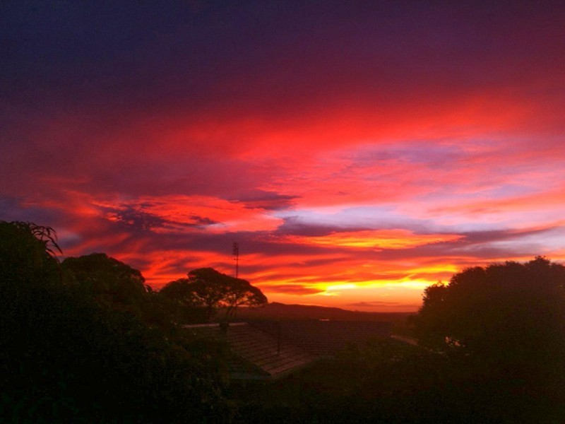 21 Allambi Terrace, Noosa Heads QLD 4567