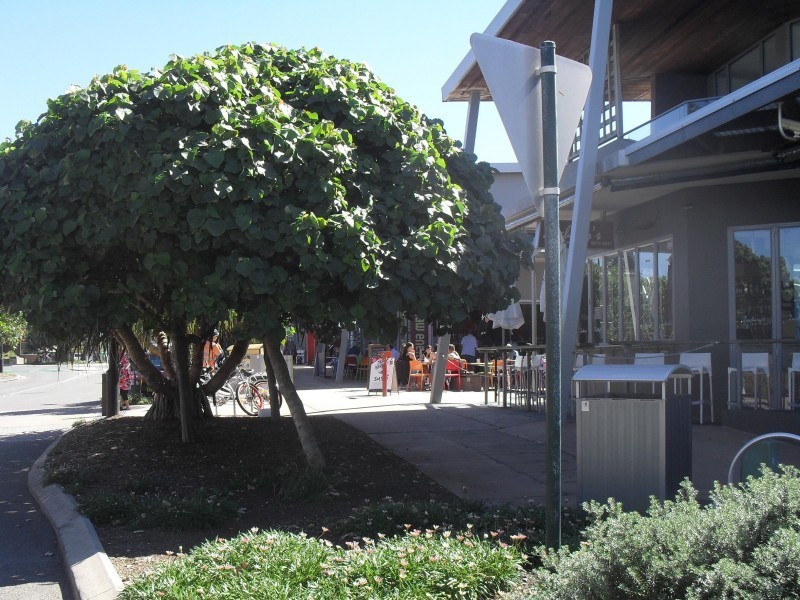 8/45 Lorikeet Drive, Peregian Beach QLD 4573