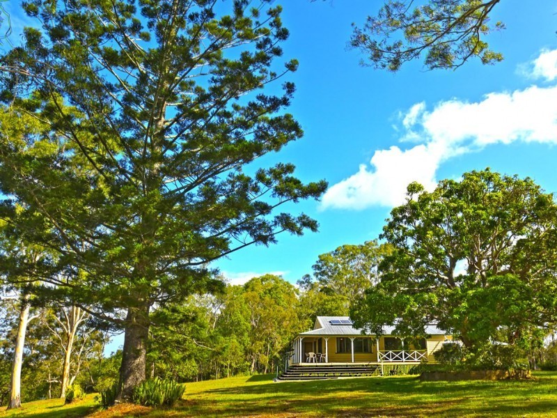 28 Elkhorn Drive, Tewantin QLD 4565