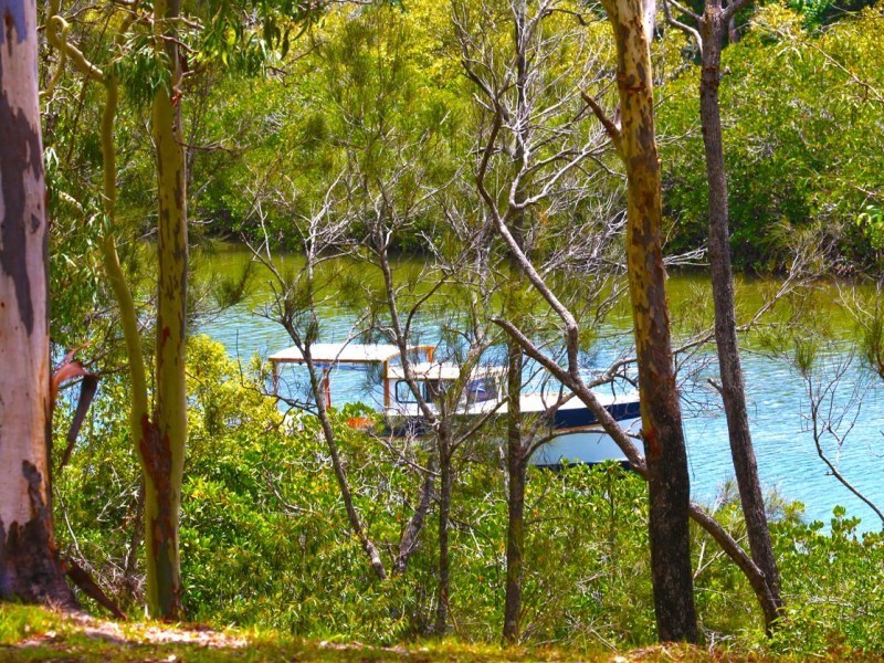 28 Elkhorn Drive, Tewantin QLD 4565