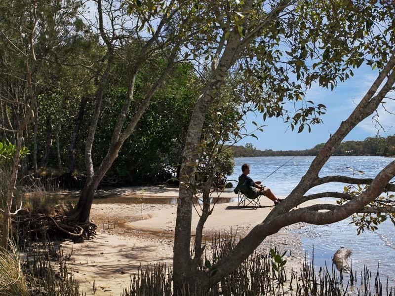 239 Moorindil Street, Tewantin QLD 4565