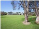 239 Moorindil Street, Tewantin QLD 4565