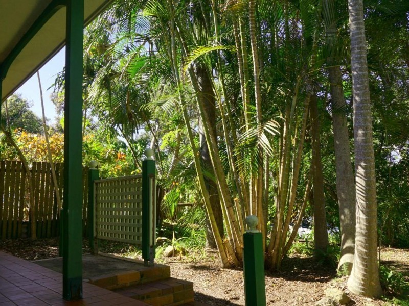 11 Dwyer Street, Sunshine Beach QLD 4567