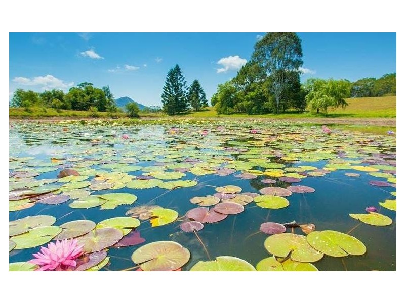 183 Ocean View Road, Cooroy QLD 4563