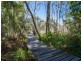36 Plover Street, Peregian Beach QLD 4573