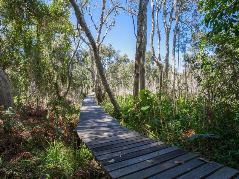 36 Plover Street, Peregian Beach QLD 4573