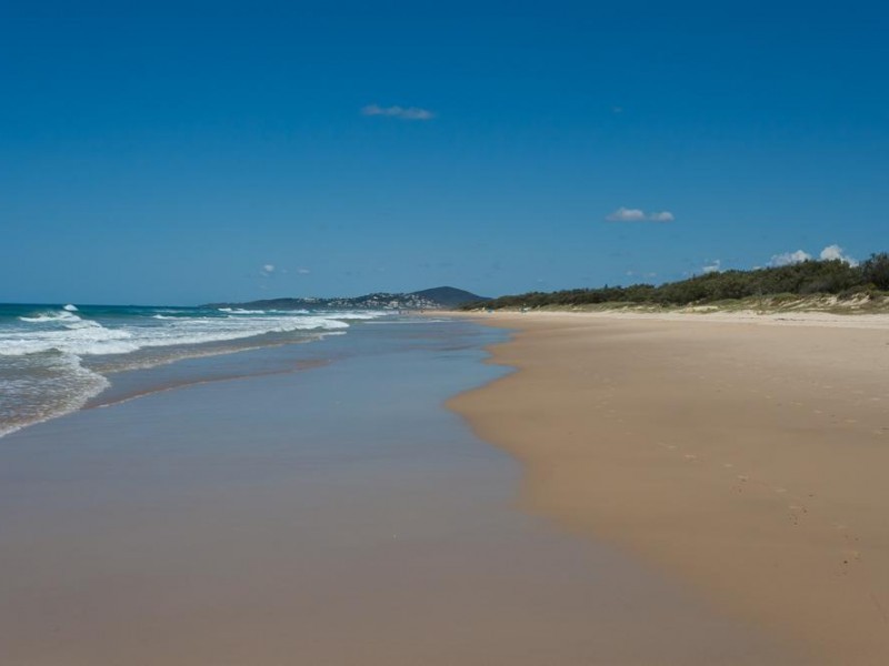 36 Plover Street, Peregian Beach QLD 4573