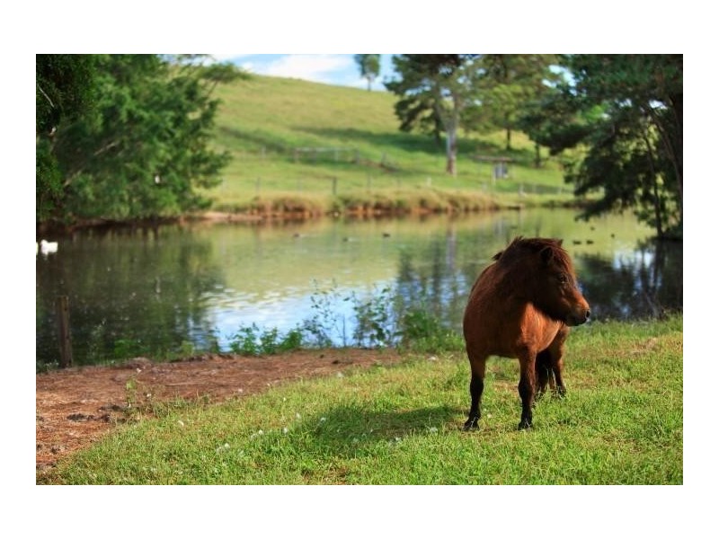 55 Happy Jack Creek Road, Ridgewood QLD 4563