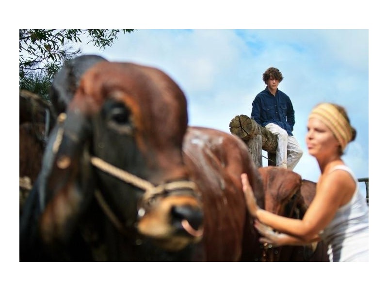 55 Happy Jack Creek Road, Ridgewood QLD 4563