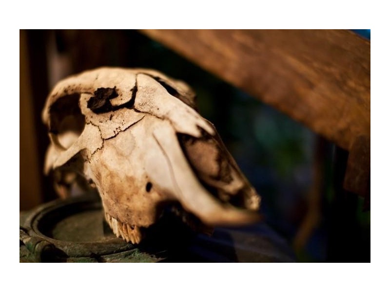 55 Happy Jack Creek Road, Ridgewood QLD 4563