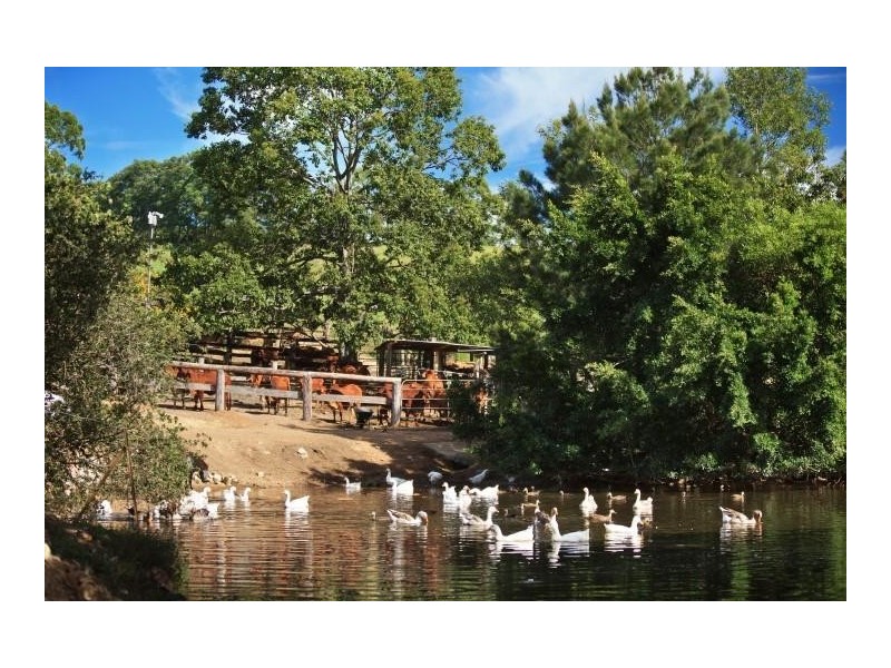 55 Happy Jack Creek Road, Ridgewood QLD 4563