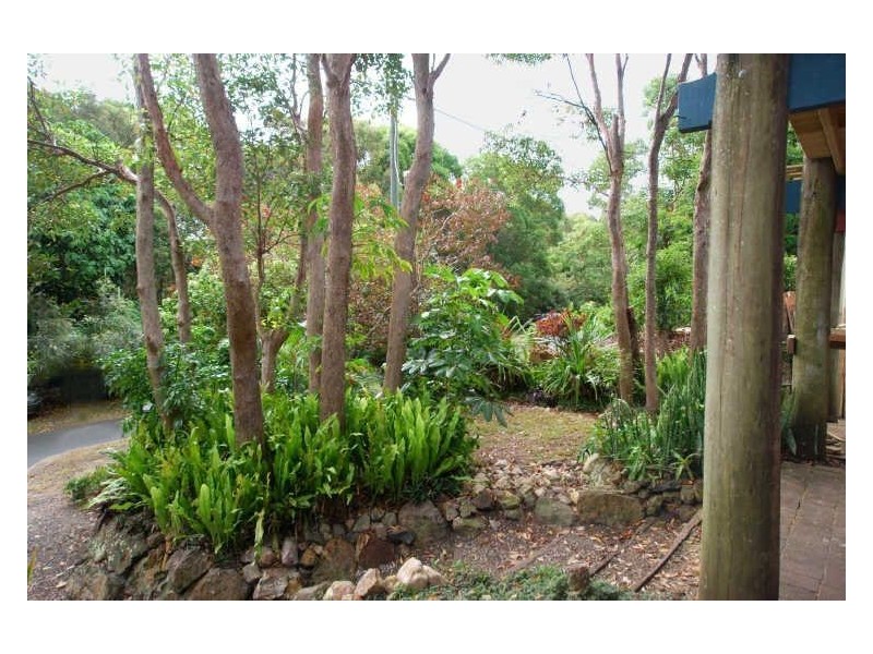 12 Cooloosa Street, Sunshine Beach QLD 4567