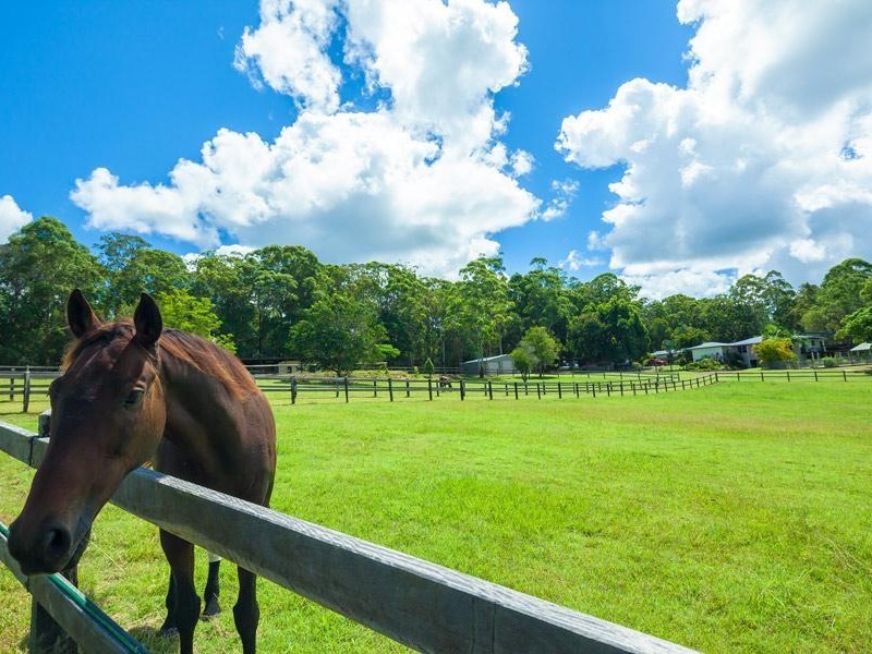 136 Gumboil Road, Tinbeerwah QLD 4563