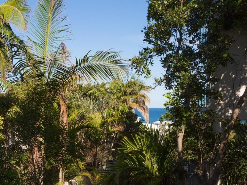 6/1 Park Crescent, Sunshine Beach QLD 4567