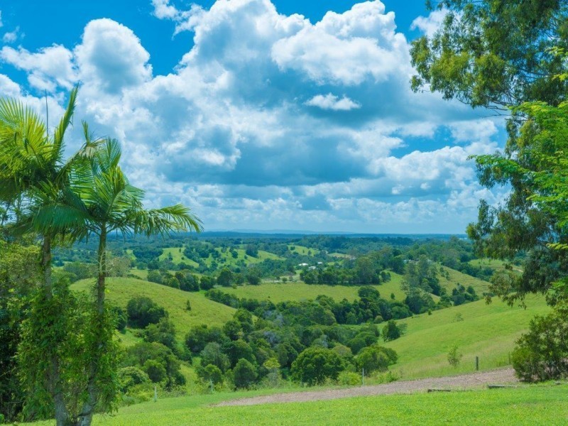 705 Cooroy  Belli Creek Rd, Black Mountain QLD 4563