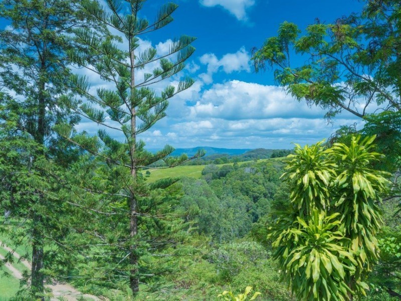 705 Cooroy  Belli Creek Rd, Black Mountain QLD 4563