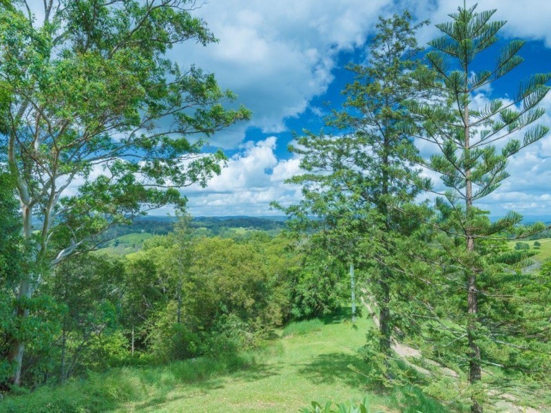 705 Cooroy  Belli Creek Rd, Black Mountain QLD 4563