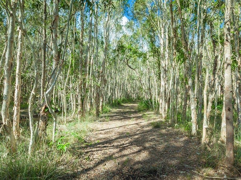 109 Clarendon Road, Peregian Beach QLD 4573