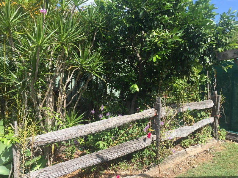 18 Tanderra Drive, Cooran QLD 4569