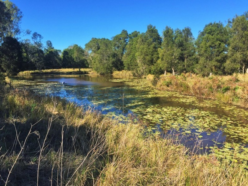38 Ironstone Creek Road, Tuchekoi QLD 4570