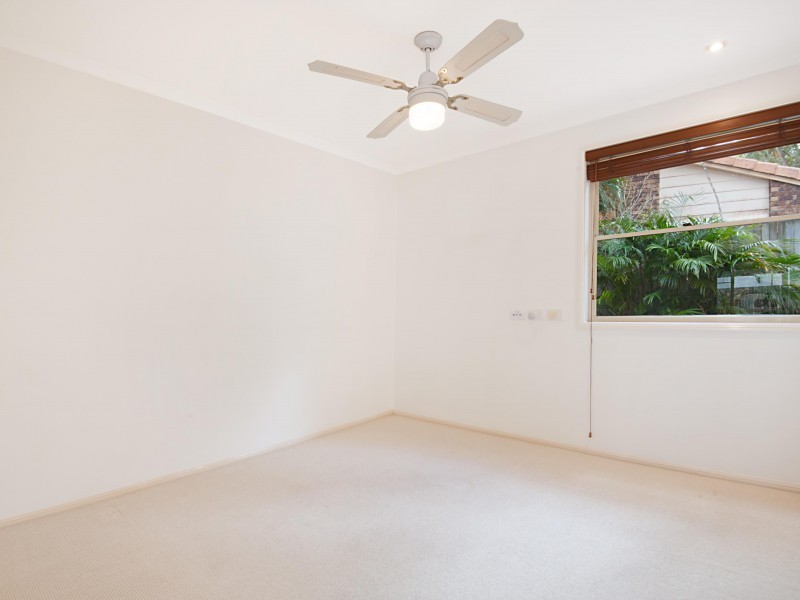 17 David Street, Noosa Heads QLD 4567