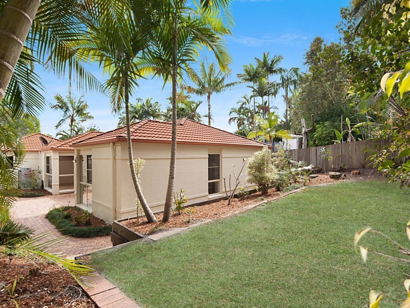 17 David Street, Noosa Heads QLD 4567