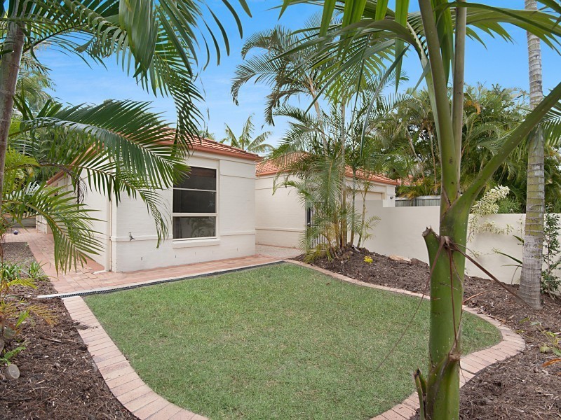 17 David Street, Noosa Heads QLD 4567