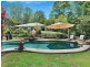 81 Whispering Gum Avenue, Eumundi QLD 4562