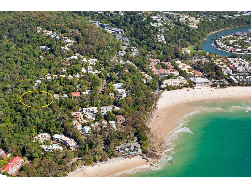 20  Little Cove Road, Noosa Heads QLD 4567