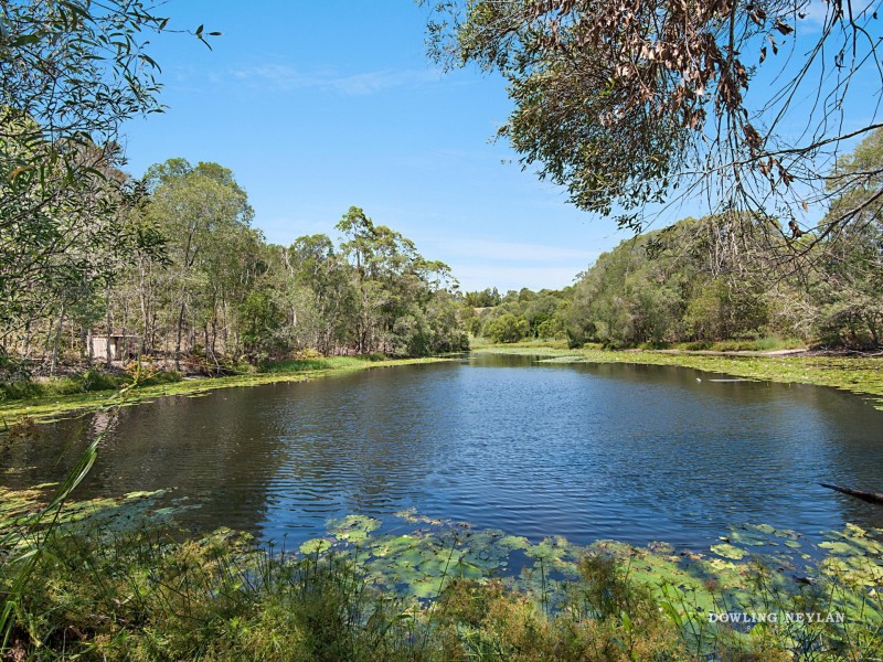 44 Firewheel Road, Ringtail Creek QLD 4565