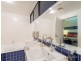 1/2 Balgownie Drive, Peregian Springs QLD 4573