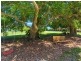 194 Nandroya Road, Eumundi QLD 4562