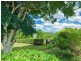 194 Nandroya Road, Eumundi QLD 4562