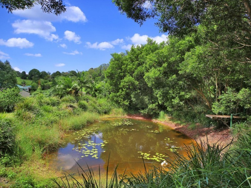34 Sallwood Court, Pinbarren QLD 4568