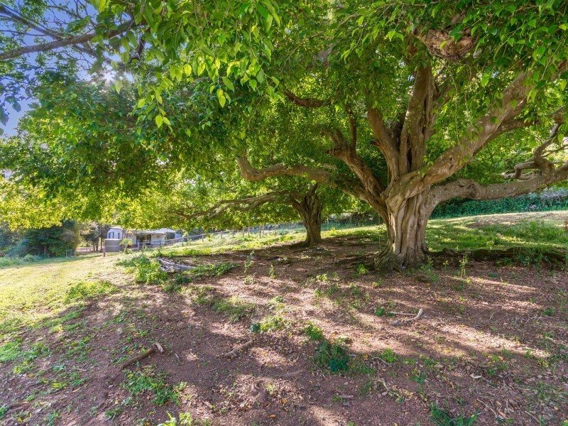 145  Musa Vale Road, Cooroy QLD 4563