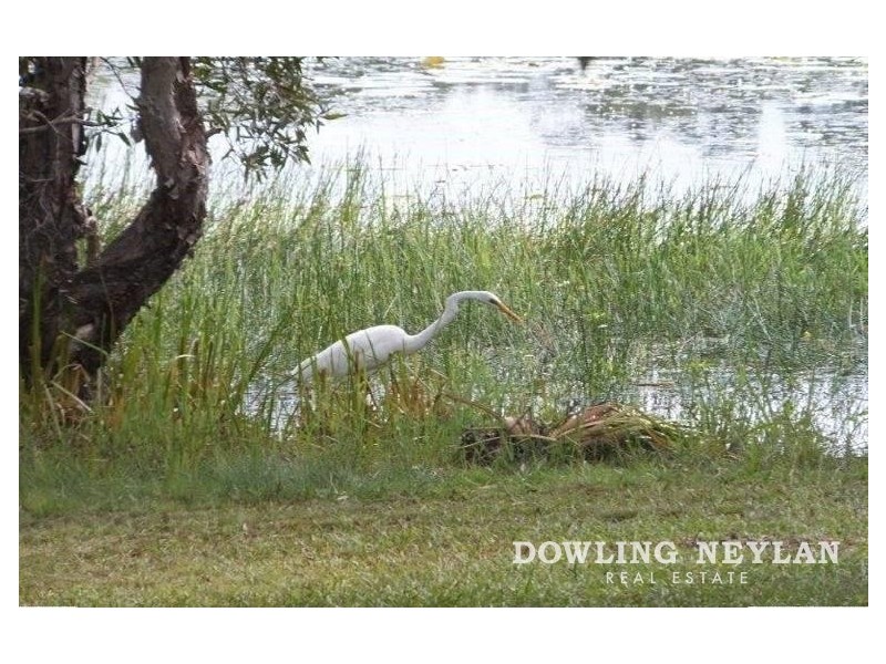 41 Grange Road, Lake Macdonald QLD 4563