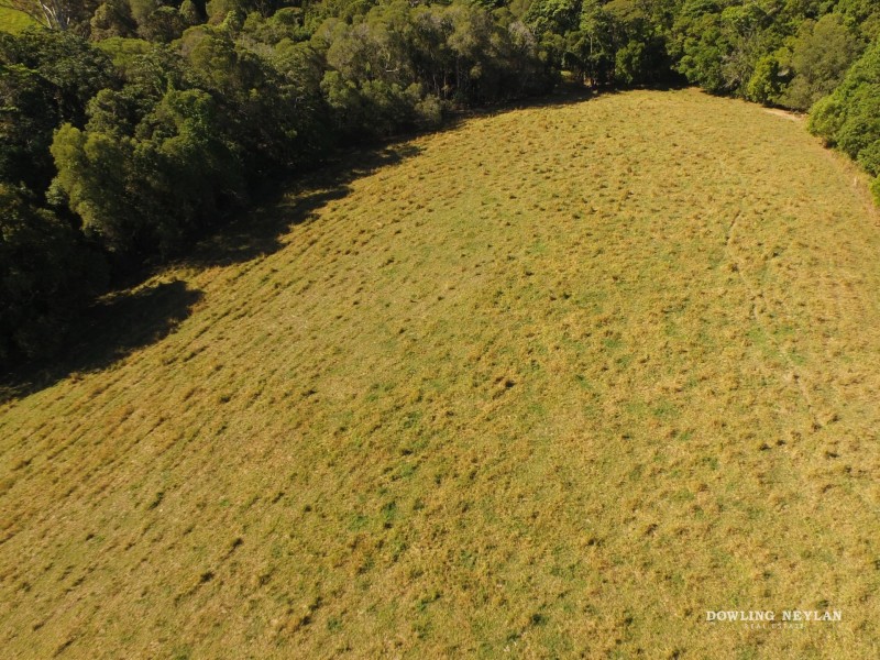 586 Cooroy Belli Creek Road, Black Mountain QLD 4563
