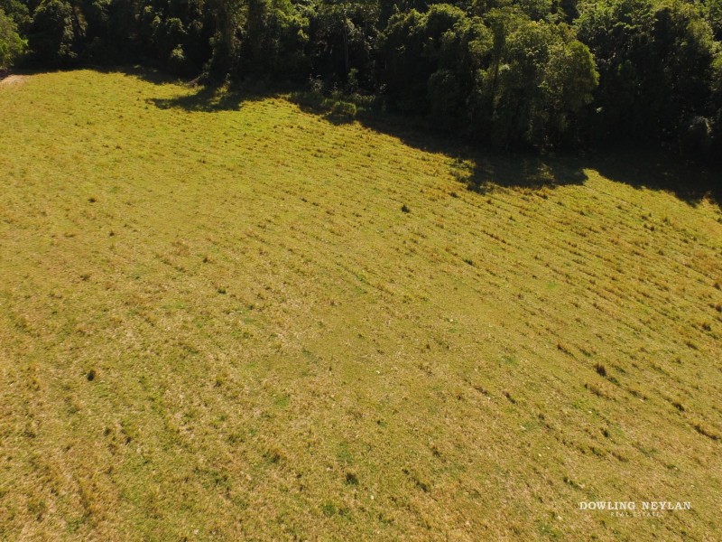 586 Cooroy Belli Creek Road, Black Mountain QLD 4563