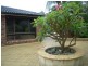 13 Ashcroft Place, Keiraville NSW 2500