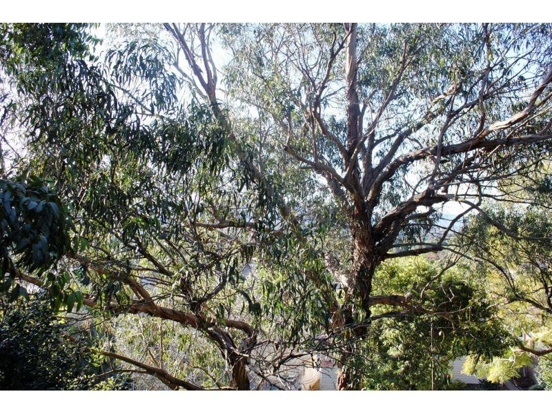 3/44 Loftus Street, Wollongong NSW 2500