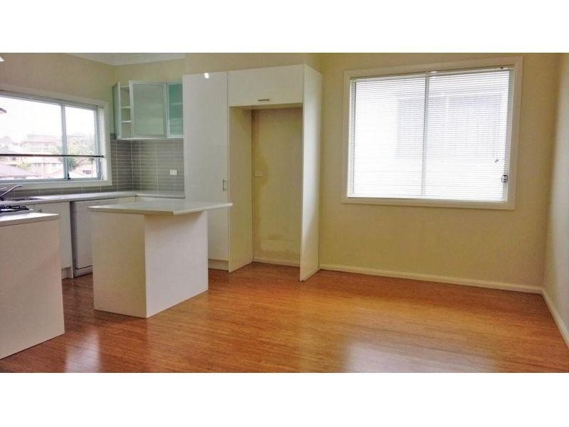 95 Cowper Street, Warrawong NSW 2502