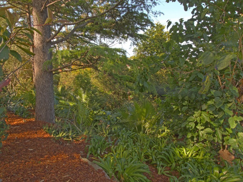 14 Cresting Avenue, Corrimal NSW 2518