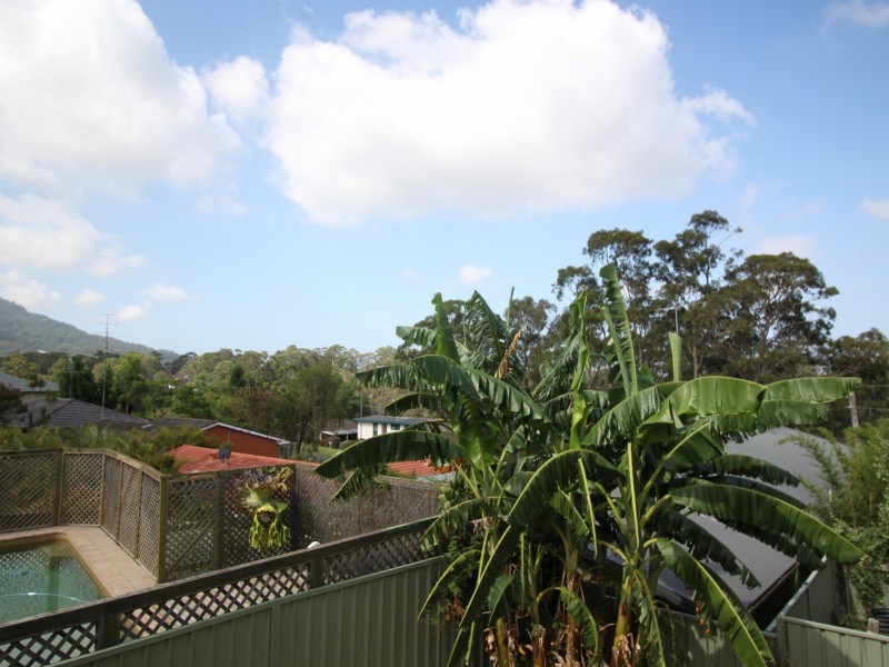 135A Jacaranda Avenue, Figtree NSW 2525