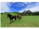 Lot 2 Berkeley Road, Berkeley NSW 2506