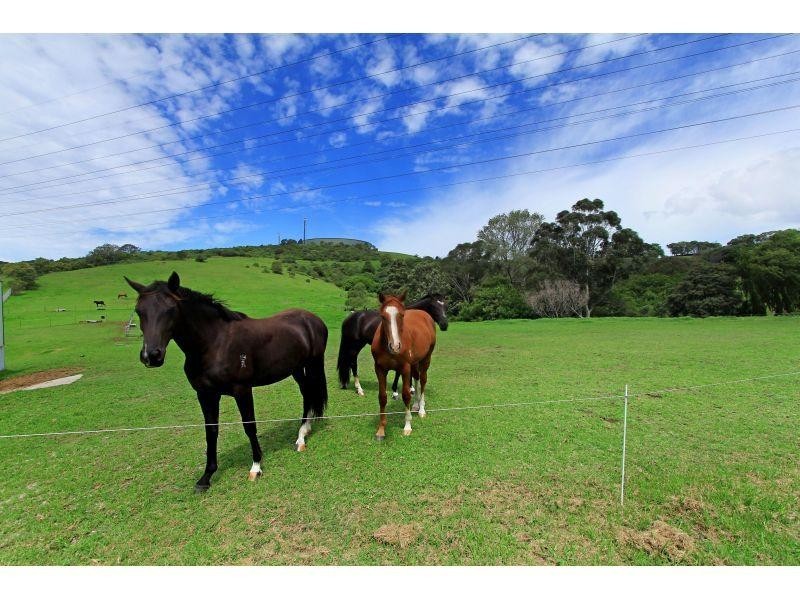 Lot 2 Berkeley Road, Berkeley NSW 2506