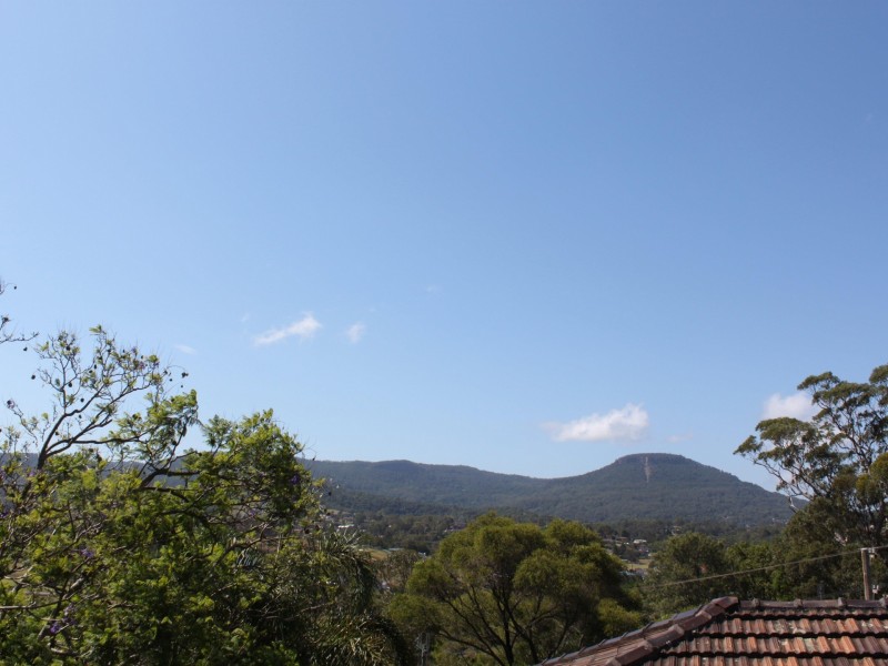 4 White Place, Figtree NSW 2525