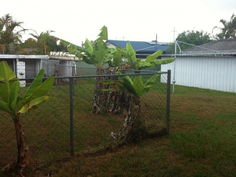 79 Steven Street, Redcliffe QLD 4020