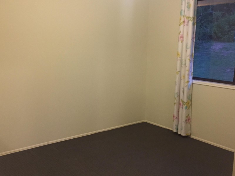 14 Ruth Street, Birkdale QLD 4159